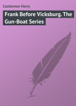 Frank Before Vicksburg. The Gun-Boat Series
