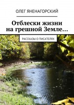 Отблески жизни на грешной Земле… Рассказы о писателях