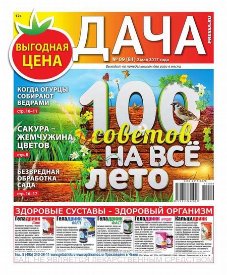 Дача Pressa.ru 09-2017