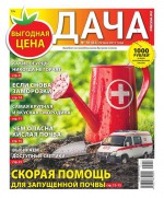 Дача Pressa.ru 10-2017