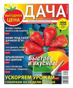 Дача Pressa.ru 11-2017