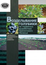 Возделывание голубики на торфяных выработках Припятского Полесья