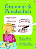 Grammar and Punctuation (Activity Cards)