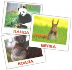 Комплект карточек “Дикие животные” МИНИ 8*10см