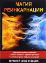 Магия реинкарнации. Сост. Вечерина Е.Ю