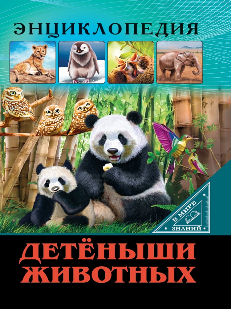 ЭНЦИКЛОПЕДИЯ. В МИРЕ ЗНАНИЙ. ДЕТЁНЫШИ ЖИВОТНЫХ