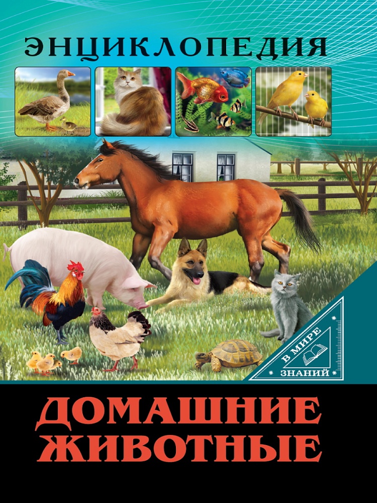 ЭНЦИКЛОПЕДИЯ. В МИРЕ ЗНАНИЙ. ДОМАШНИЕ ЖИВОТНЫЕ