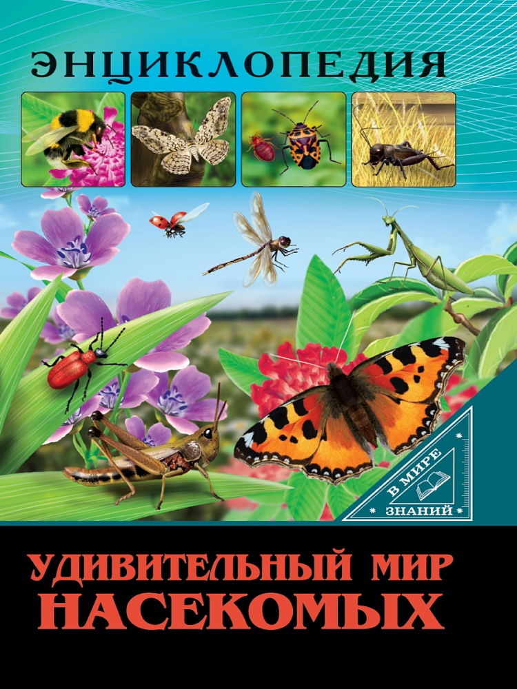 ЭНЦИКЛОПЕДИЯ. В МИРЕ ЗНАНИЙ. УДИВИТЕЛЬНЫЙ МИР НАСЕКОМЫХ