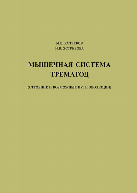 Мышечная система трематод (строение и возможные пути эволюции)