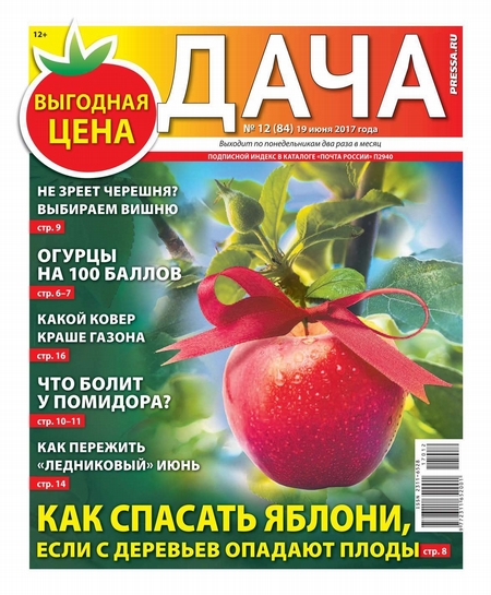 Дача Pressa.ru 12-2017