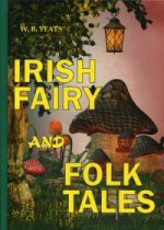 Irish Fairy and Folk Tales = Ирландские сказания: на англ.яз