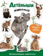 Энциклопедия животных с наклейками. Детеныши животных