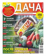 Дача Pressa.ru 17-2017