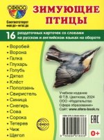 Раздаточные карточки "Зимующие птицы" (16 карточек)