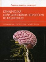Клиническая нейроанат.и неврология по Фицжеральду