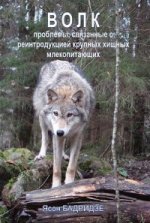 Волк. Проблемы, связанные с реинтродукцией крупных хищных млекопитающих