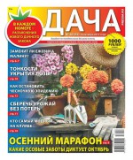 Дача Pressa.ru 20-2017