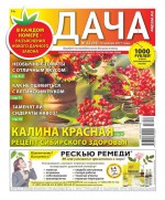 Дача Pressa.ru 22-2017