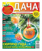 Дача Pressa.ru 24-2017