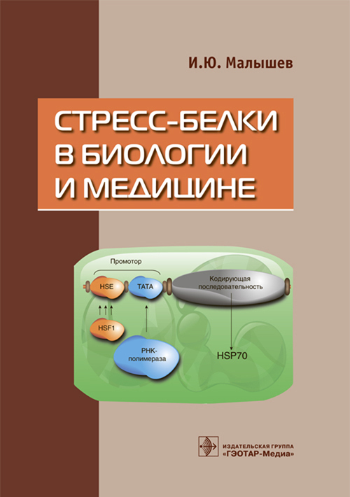 Стресс-белки в биологии и медицине (без НДС, без скидки)