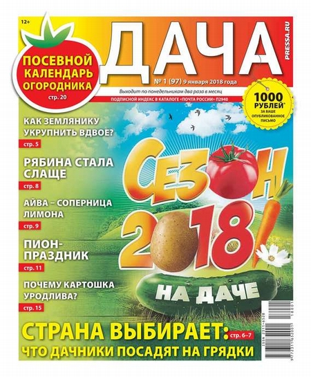 Дача Pressa.ru 01-2018