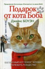 Подарок от кота Боба. Как уличный кот помог человеку полюбить Рождество