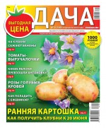 Дача Pressa.ru 04-2018