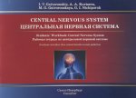 Центральная нервная система.Рабочая тетрадь на англ.языке