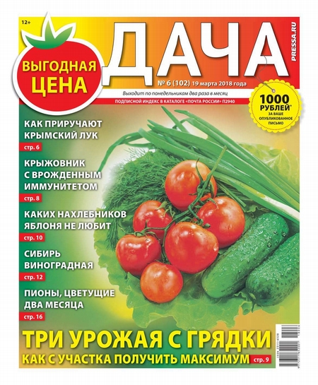 Dacha Pressa.ru 06-2018