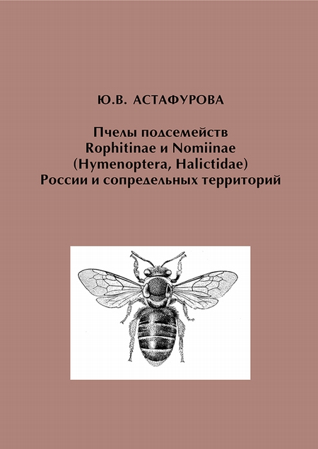 Пчелы подсемейств Rophitinae и Nomiinae (Hymenoptera, Halictidae) России и сопредельных территорий