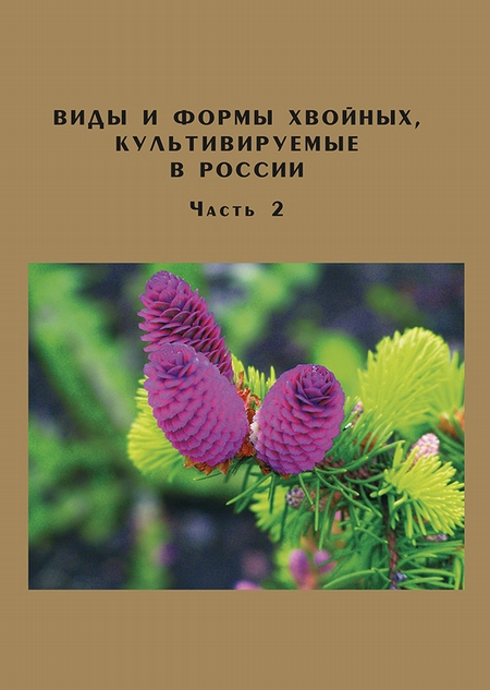 Виды и формы хвойных, культивируемые в России. Часть 2. Picea A. Dietr., Thuja L