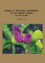 Виды и формы хвойных, культивируемые в России. Часть 2. Picea A. Dietr., Thuja L