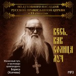 Весь, как солнца луч. Жизненный путь и проповеди архимандрита Бориса (Холчева)