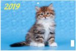 "Котенок". Настенный трехблочный квартальный календарь на 2019 год с курсором в индивидуальной упаковке (Европакет)