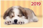 "Любимый щенок". Настенный трехблочный квартальный календарь на 2019 год с курсором в индивидуальной упаковке (Европакет)