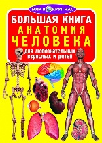 Большая книга. Анатомия человека (9789669361493)