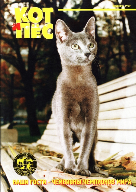 Кот и Пёс №11/1997
