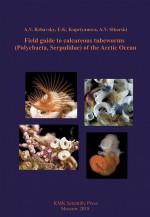 Field guide to calcareous tubeworms (Polychaeta, Serpulidae) of the Arctic Ocean