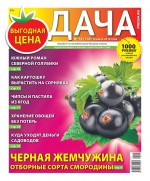 Дача Pressa.ru 14-2018