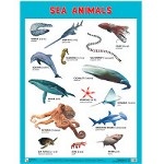 Плакаты " Sea Animals"