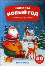 В гостях у Деда Мороза: книжка с наклейками