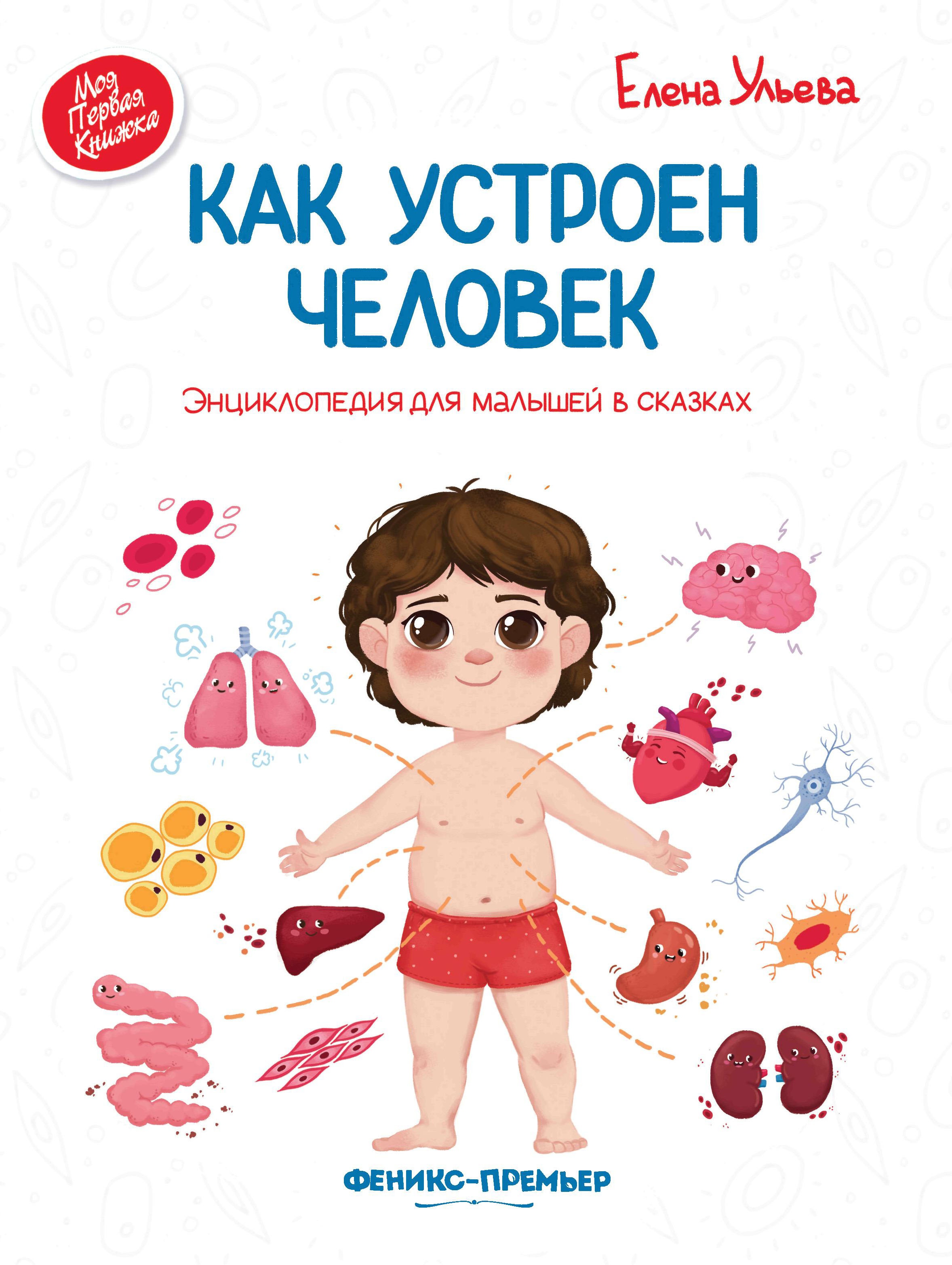 Как устроен человек: энцикл.для малышей в сказках