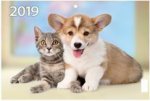 "Котенок и щенок". Настенный трехблочный квартальный календарь на 2019 год с курсором в индивидуальной упаковке (Европакет)