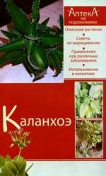 Каланхоэ: Описание растения, Советы по выращиванию, Применение при различных заболеваний и др