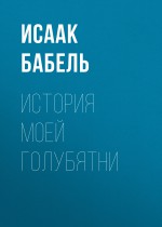 История моей голубятни