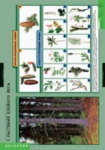 Компл. таблиц. Биология. Растения и окружающая среда. (7 табл.) + методика