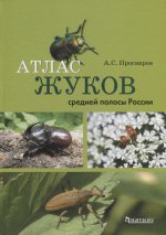 Атлас жуков средней полосы России