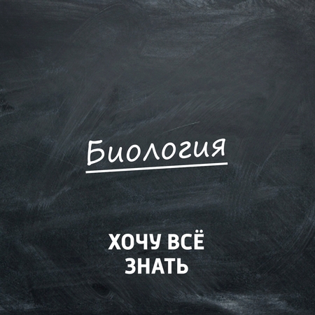 Биология. Как устроен мозг. Часть 2. Как научить мозг учиться