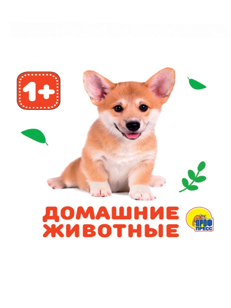 КНИЖКИ НА ПЕНЕ. ДОМАШНИЕ ЖИВОТНЫЕ