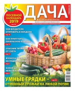 Дача Pressa.ru 02-2019